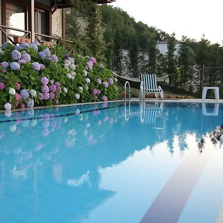 Orchid Hills - Heated Swimming Pool *